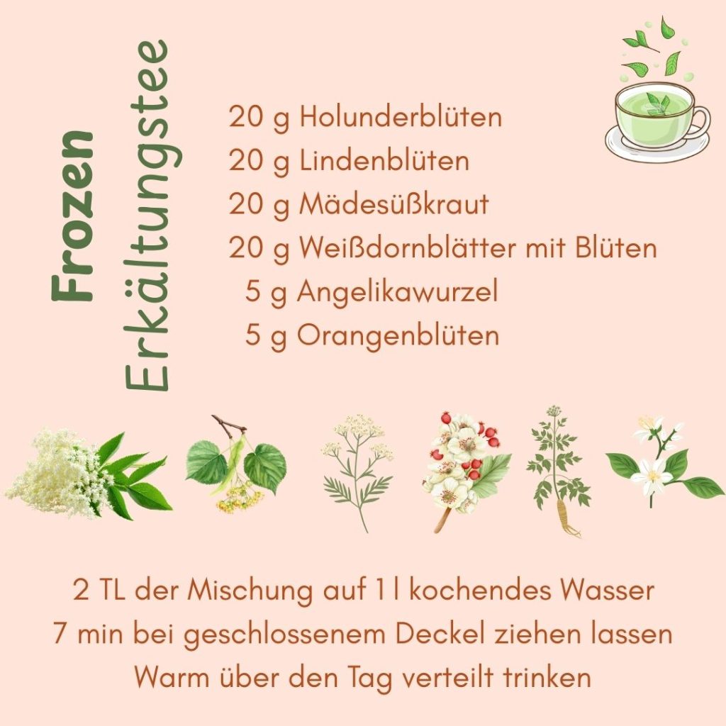 Erkältungstee / Frozen / PRANAKI