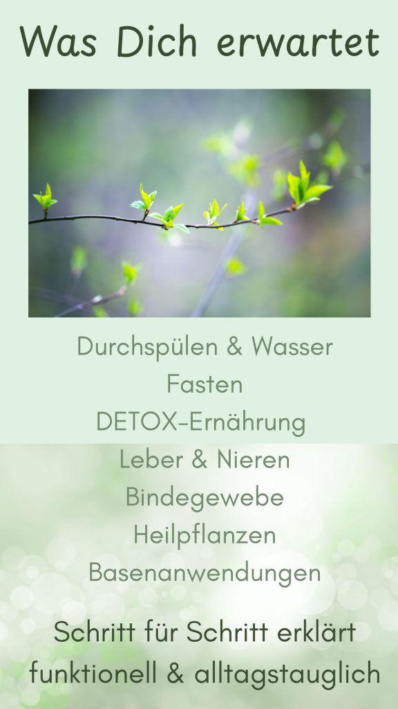Healing Story auf Instagram / Detox / PRANAKI