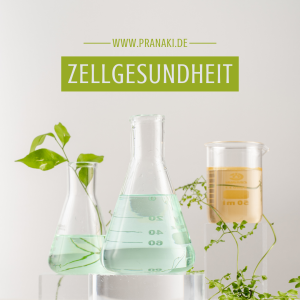 Zellgesundheit, Mitochondriiopathien / PRANAKI